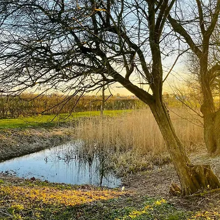 Historic Gatehouse At Sollestedgaard Manor *