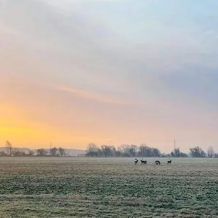 Historic Gatehouse At Sollestedgaard Manor Sollested (Lolland)